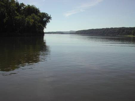 Study site looking toward the main River channel